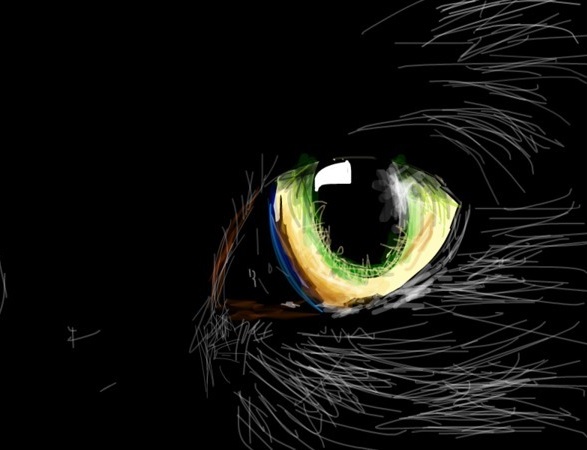 Webcam Montegancedo Bosques de Noruega